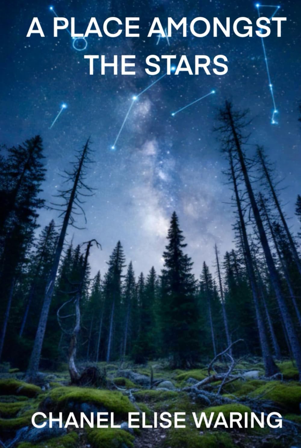 A PLACE AMONGST THE STARS