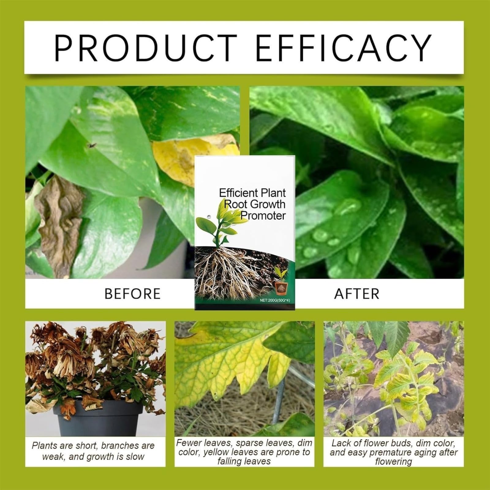 Stimulateur D'Enracinement Pour Boutures Végétales,Poudre d'Enracinement,Engrais Concentré Revitaliseur de Sol et Boosteur d'Engrais | Poudre Stimulatrice De Croissance Racinaire | pour Boutures, Re