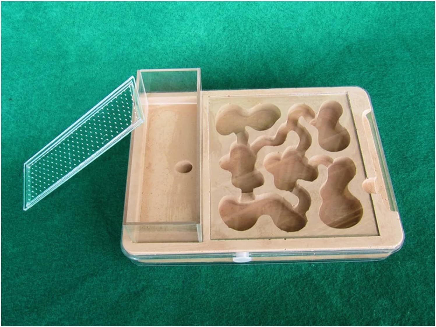 Stereoskopische Acrylbeobachtung Nest Transparentes Ameisennest aus PP-Kunststoff, Ameisenburg, Ameisenzuchtkasten, Ameisenvilla, Ameisenfütterungskasten, wissenschaftliches Experiment zur Ameisenfors