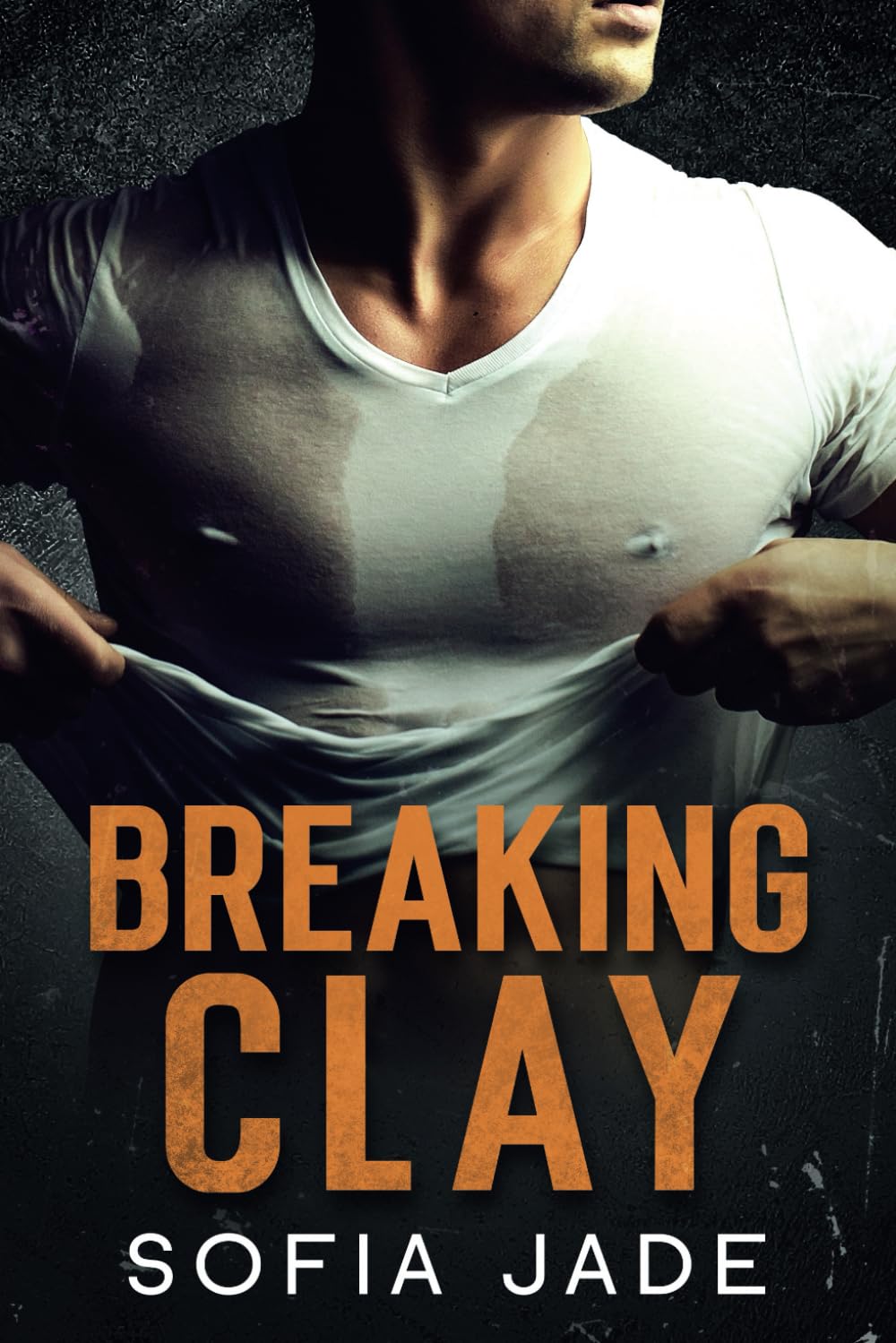 Breaking Clay: A Fake Dating, Age Gap, Small Town, Cowboy Romance (The Cameron Cowboys series)