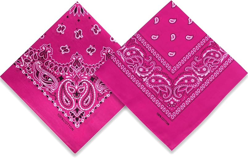Dorilin 2 Pack Types of Paisley Pattern Bandanas, 22x22 Inches Cotton Bandanas Handkerchief Face Mask for Men & Women