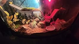 Review Image by Breanne Bateman Breanne Bateman