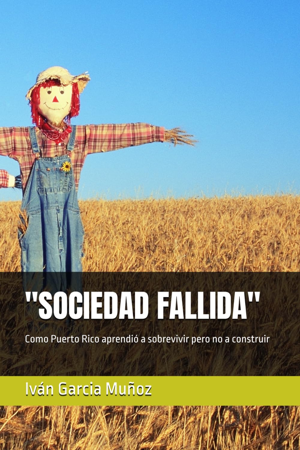 "SOCIEDAD FALLIDA": Como Puerto Rico aprendió a sobrevivir pero no a construir