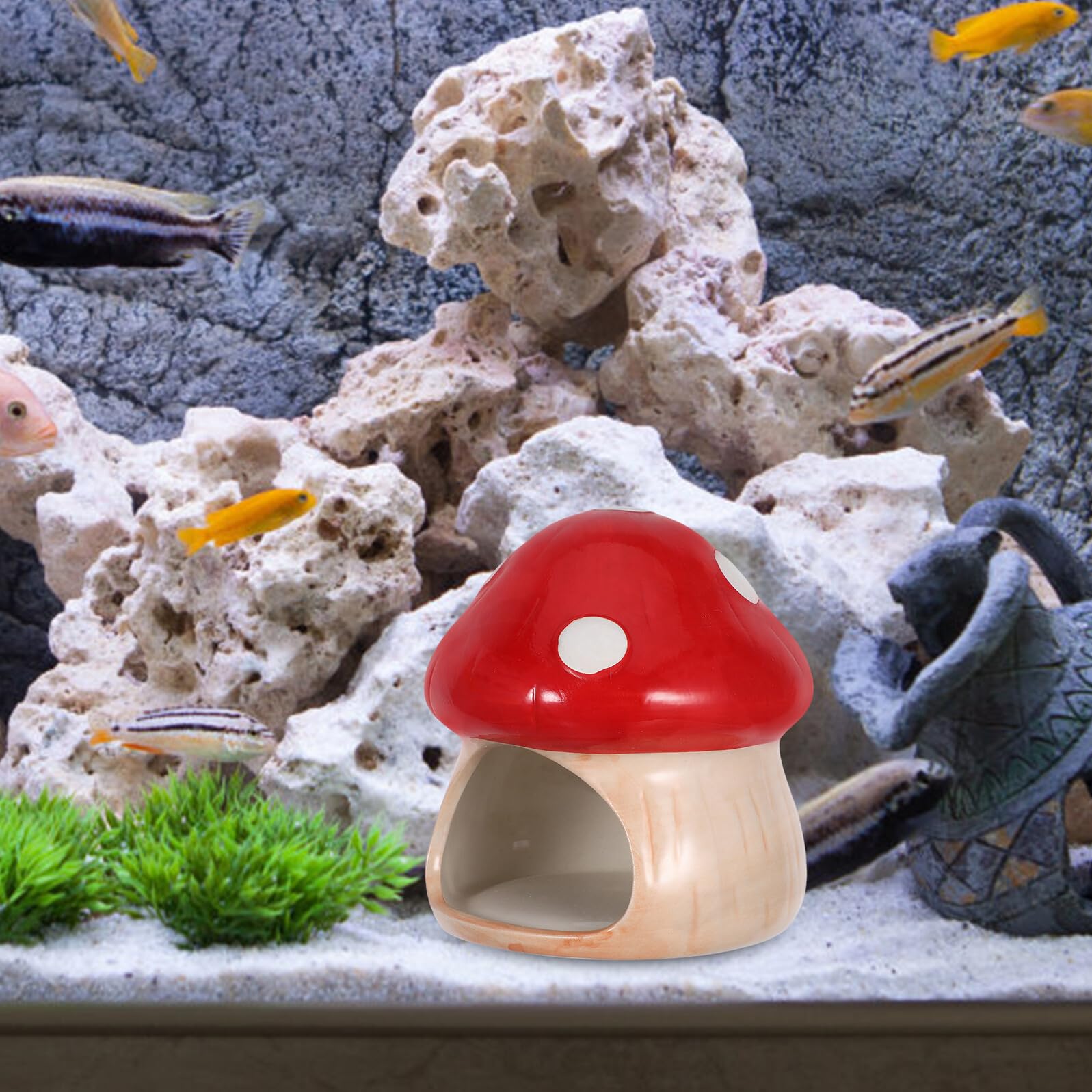 Cachette pour Betta et Crevettes Céramique Maison Champignon Aquarium Refuge de Repos et Reproduction Décor Adapté pour Poissons Rouges et Pleco Abri Naturel pour Aquarium