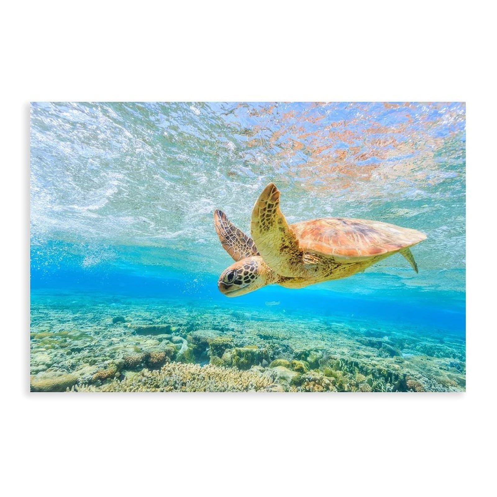 Bareronor Ocean Blue Poster Canvas Poster Bedroom Decor Landscape Office Room Decor Gift 24" L X 36" W