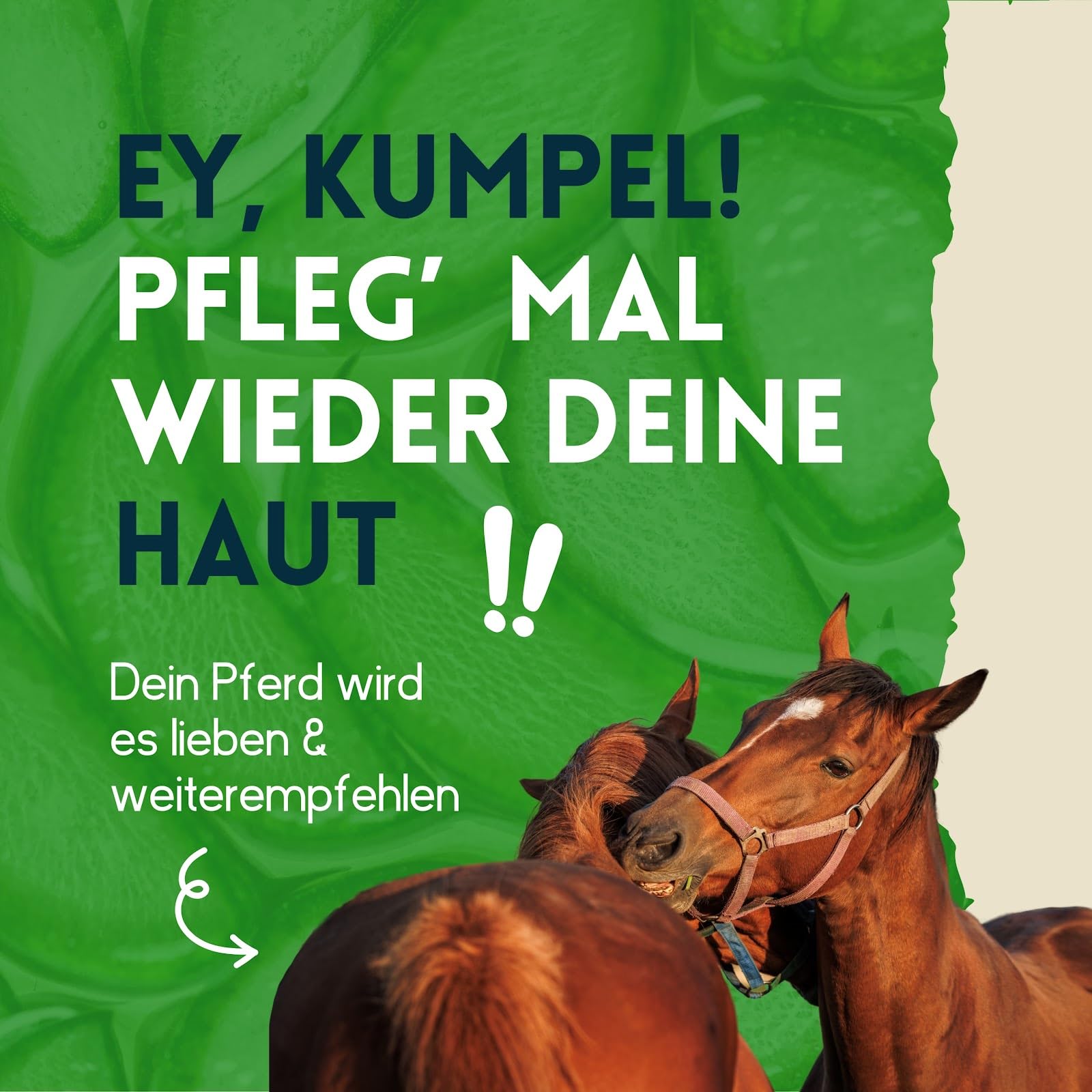 nimo® Espray para el cuidado de la piel para caballos con aloe vera y pantenol, regeneración de la piel en sequedad e inflamación, contra picazón e irritación, para infestaciones de parásitos, ácaros