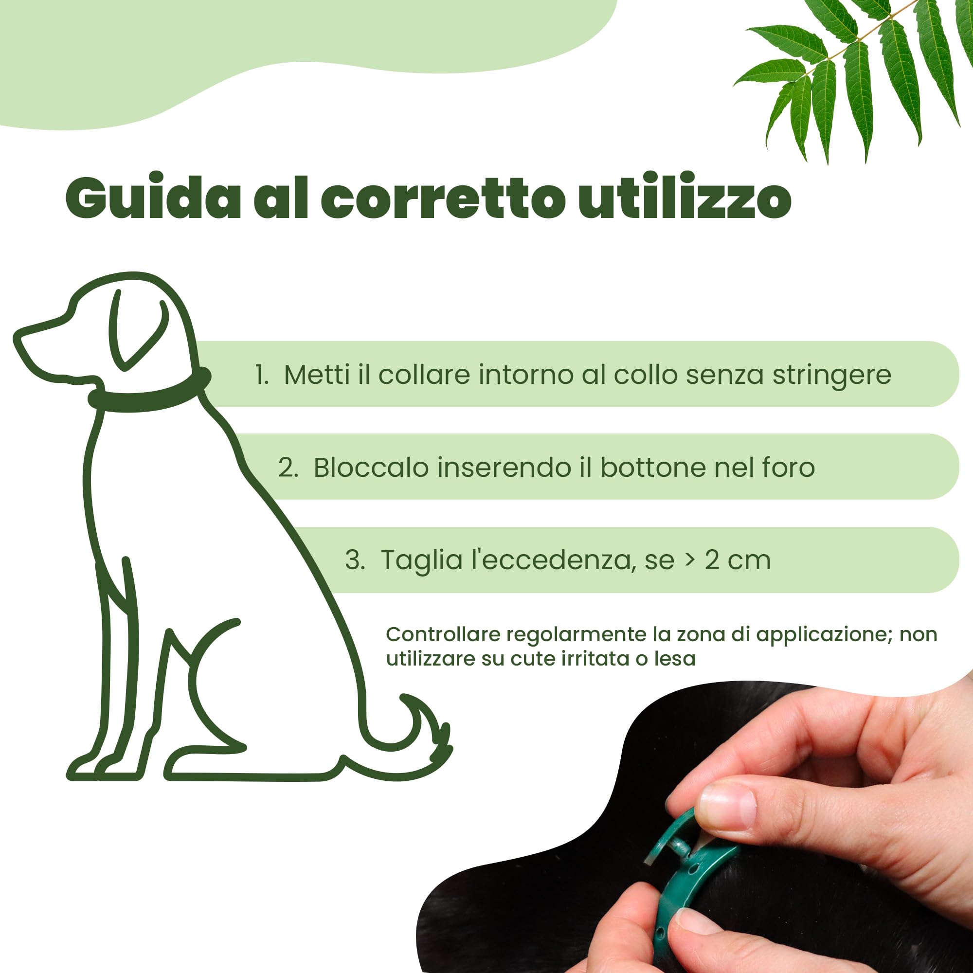 CAMON | Collier de protection pour chien (> 10 kg) avec huile de Neem, 60 cm, protection naturelle jusqu'à 2 mois