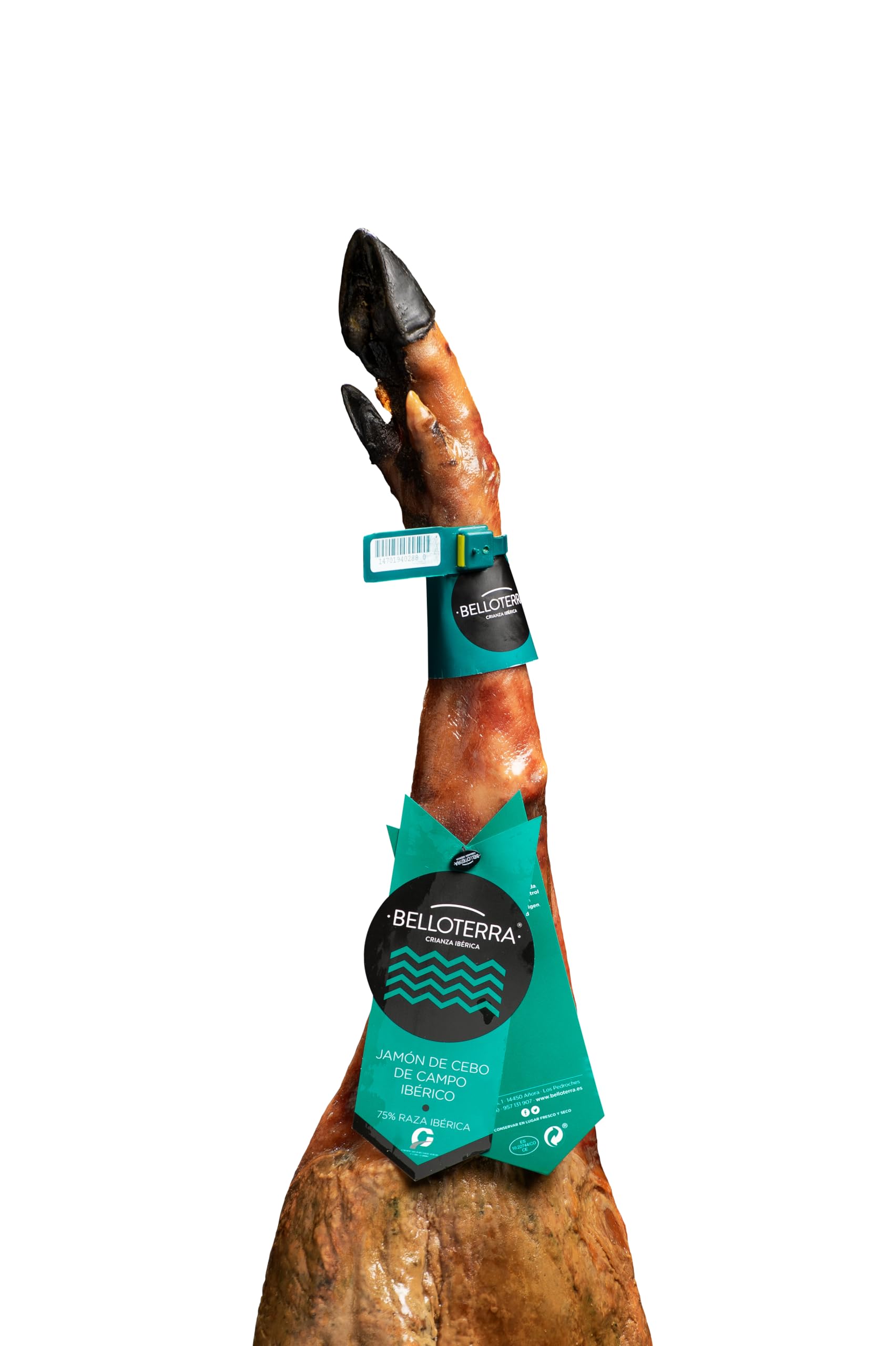 BELLOTERRA | Jamón de Cebo de Campo 50% Ibérico | 8,5-9 kg | Curación 24-30 Meses | Raza Ibérica en Régimen de Campo | Sabor Tradicional y Aroma Equilibrado