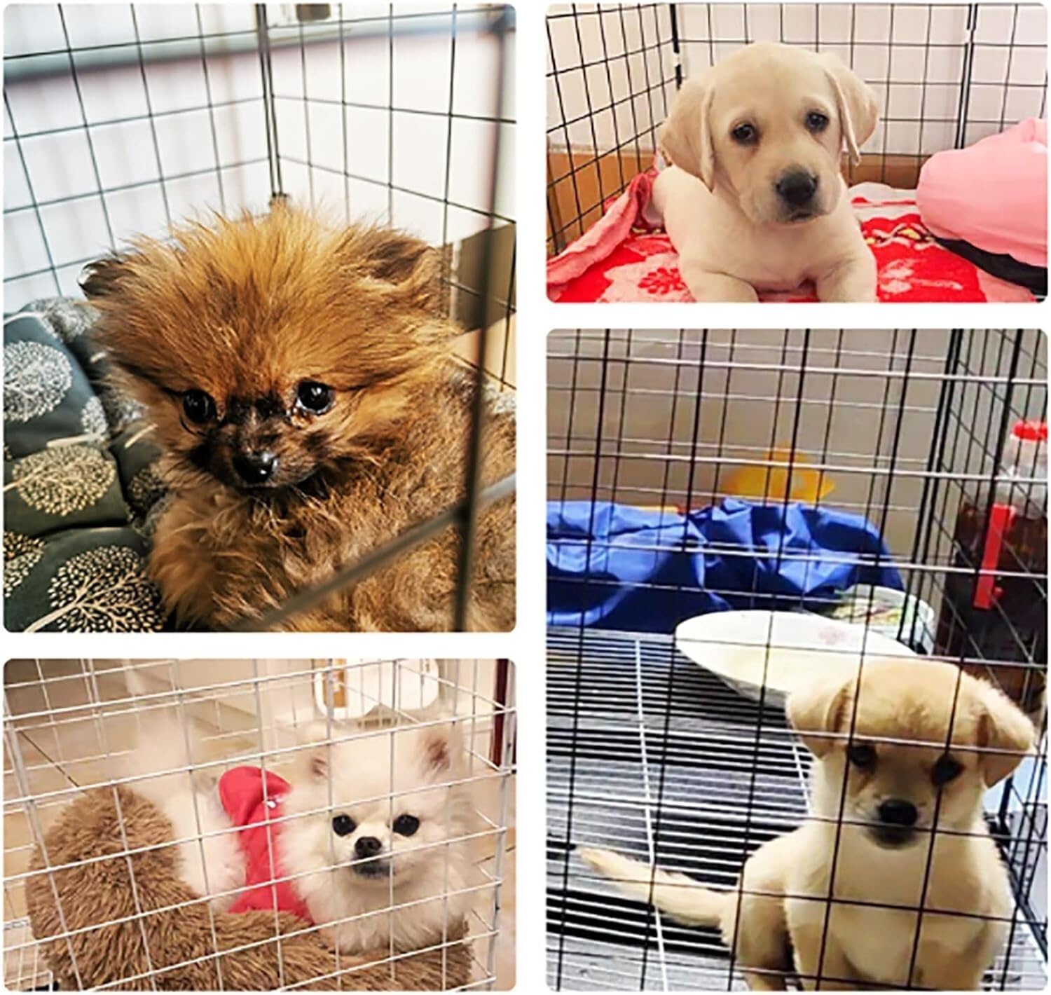 Cat House Cat Cage - Gabbie per Gatti Recinto per Gatti da Interno Recinto per Gatti Gabbia per furetti Trasportini per Cani Cucce per Gatti Facile da Pulire, per 1-3 Gatti per GAT