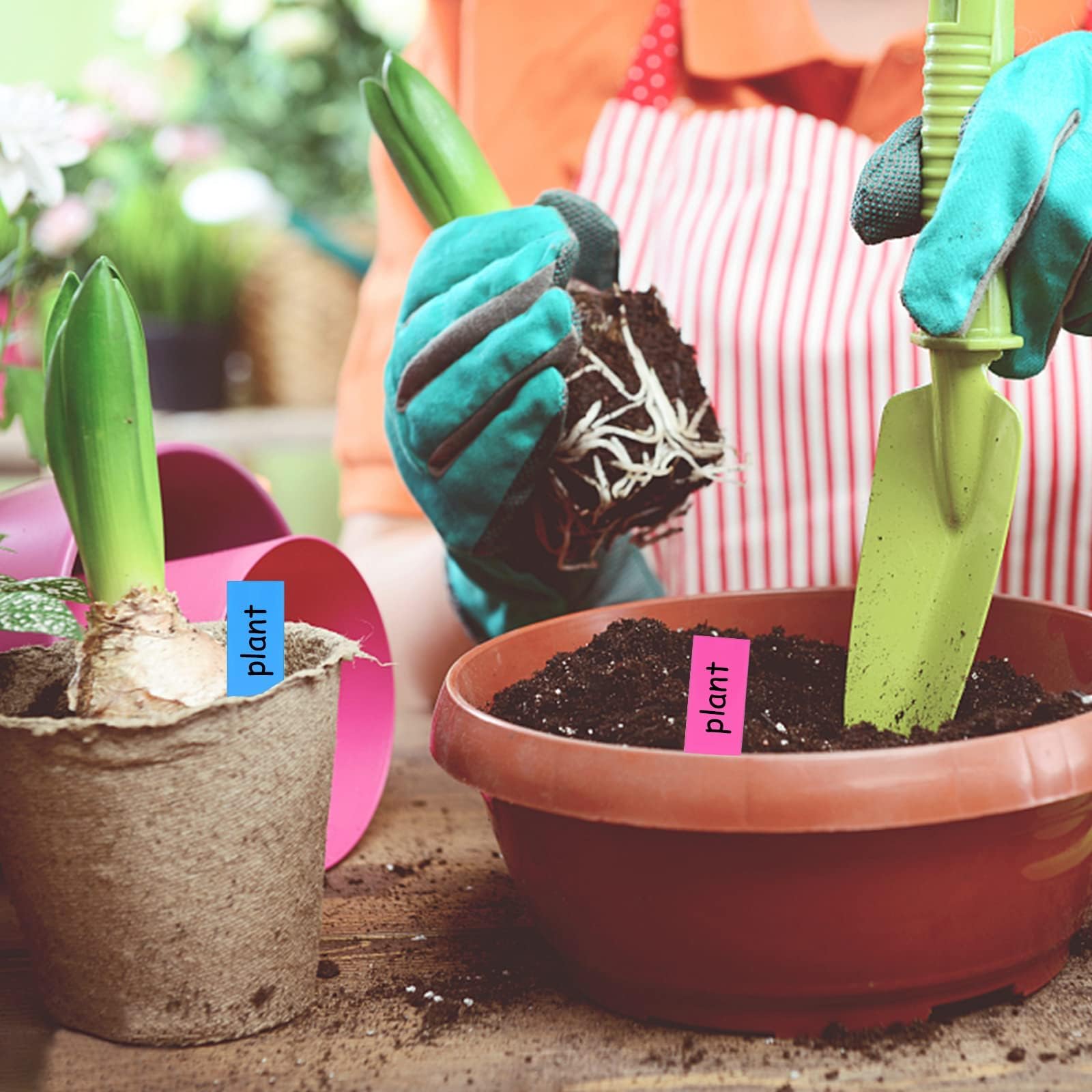 500 Etichette Per Piante In Plastica Colorate, 5 Colori, Impermeabili E Resistenti Ai Raggi UV, Con Pennarello Nero Incluso – Ideali Per Giardino, Vasi E Serre