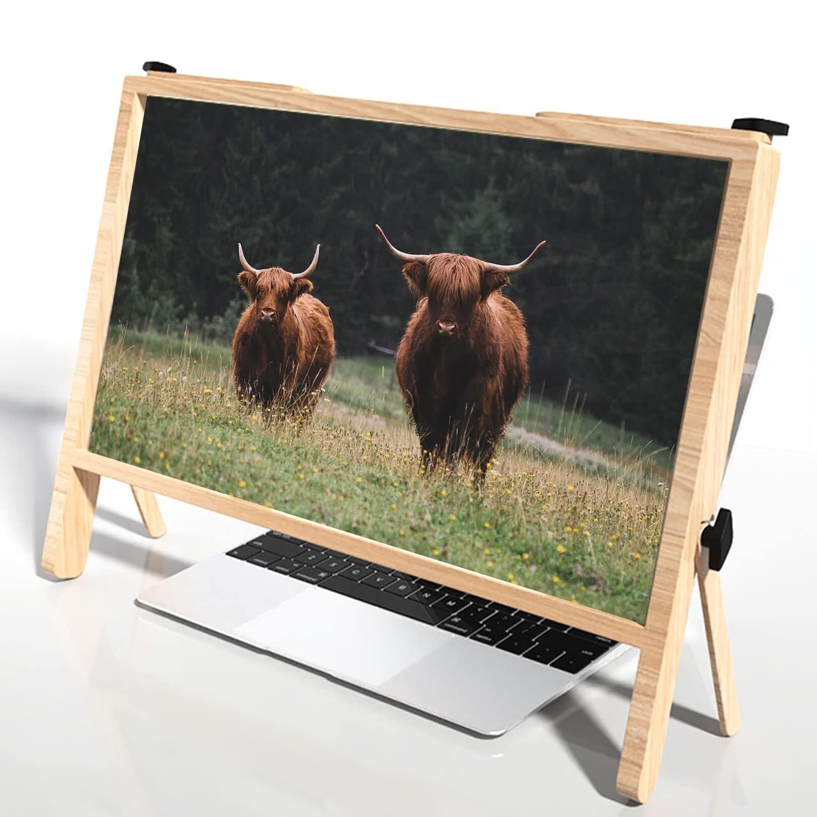 Lupa de lectura para pantallas de PC ideal para disfrutar películas en casa