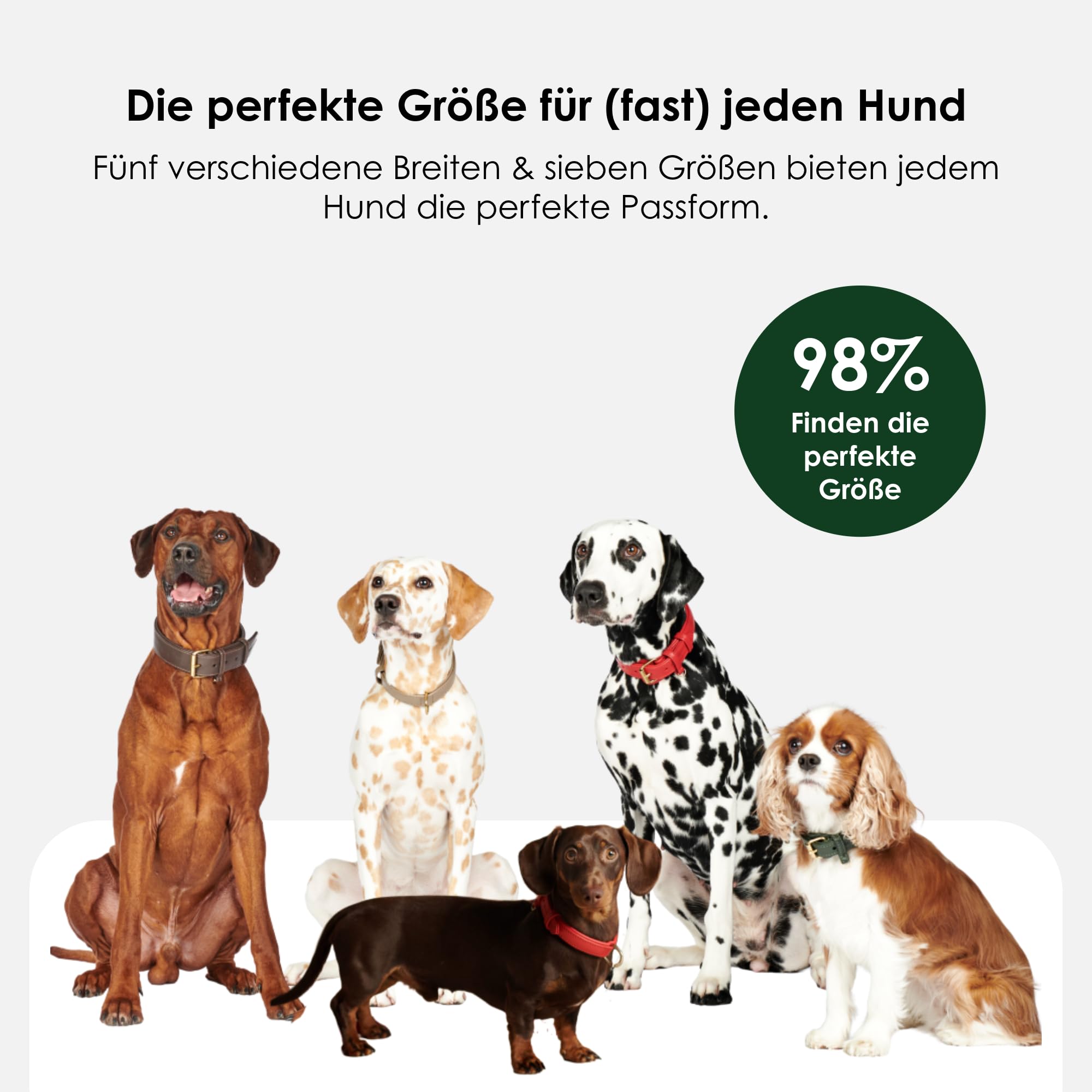ALMADOG Hundehalsband Abby – Weiches Fettleder, Geflochten, Made In Germany, Kastanienbraun XS (27–33 Cm)