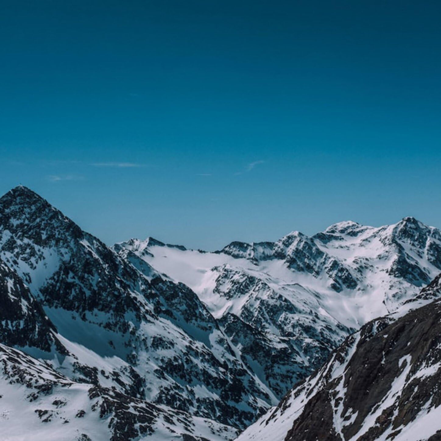 rich kid always winning