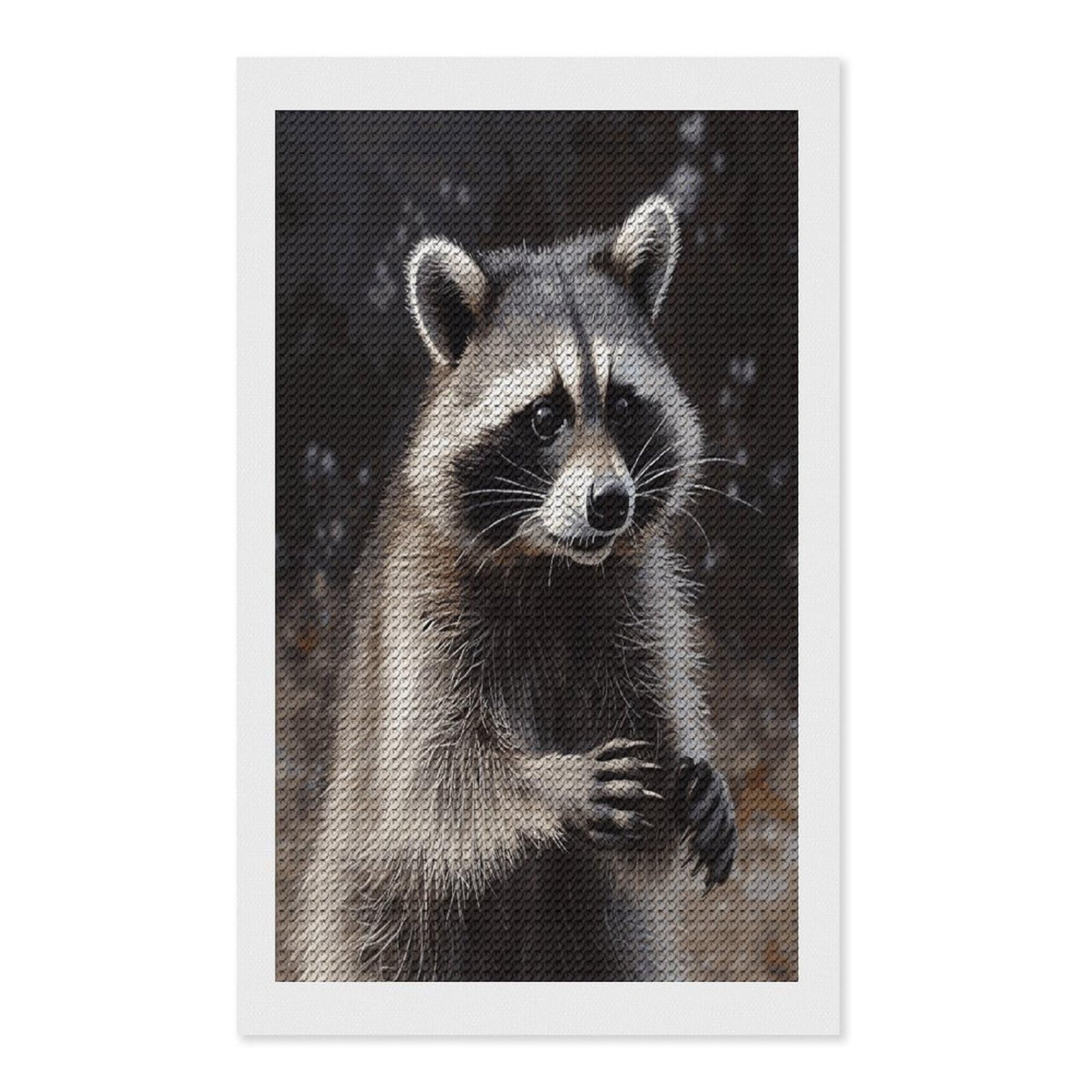 FekiLoot Raccoon Diamond Painting Kits for Beginners DIY Diamond Art Kits for Adults Full Drill Round Diamond Dot Gem Art Painting Fun DIY Crafts for Home Kitchen Wall Decor Gift 12"x20"
