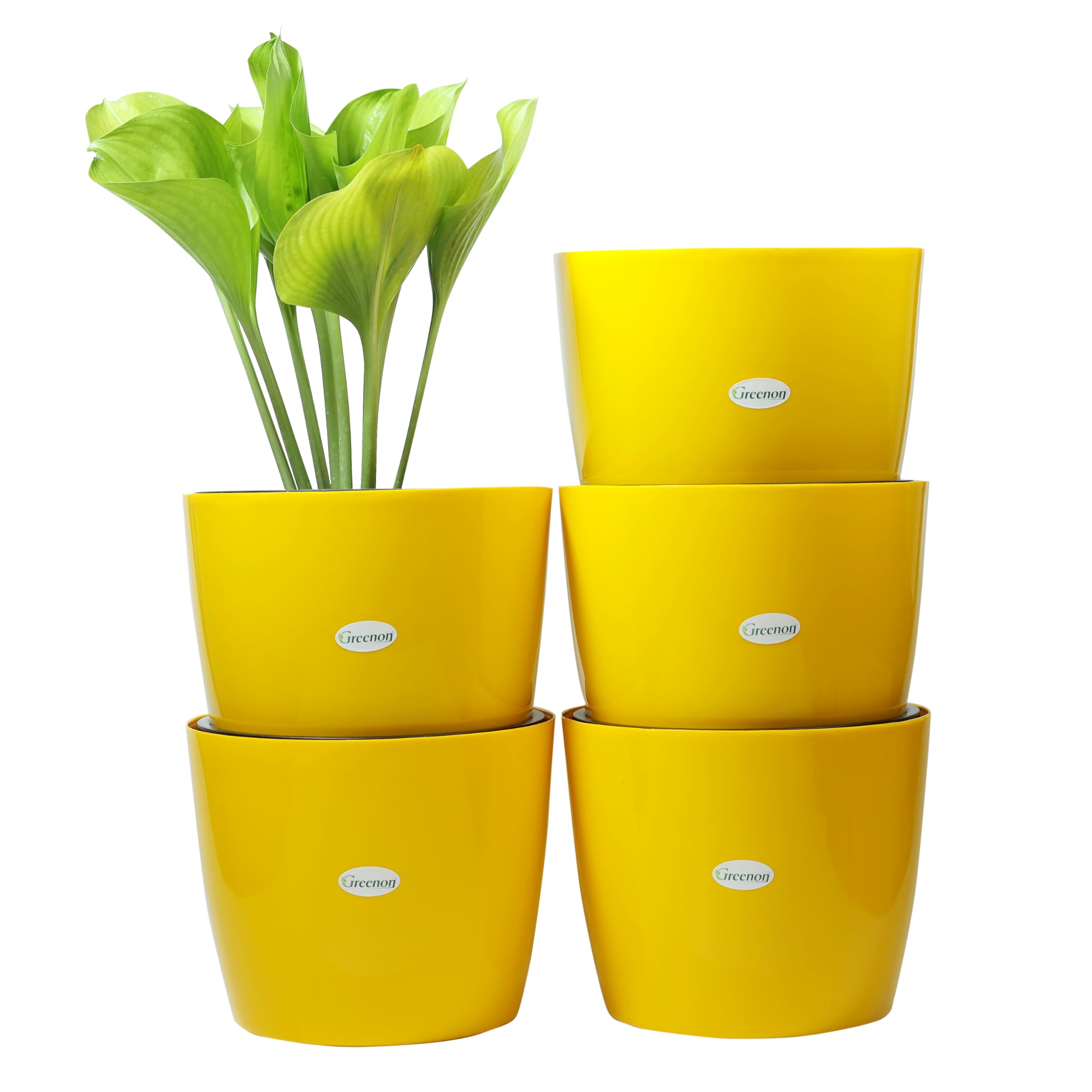 GREENON® 10 Inch Self Water Planter Pot Pack of 5 (10 Pots) | Yellow Outer and Black Inner | Unfadable Flower Pot | Virgin Plastic Gamla | Solid Phuldani | Indoor Plant Container | UV Treated (B09B665L2K) Amazon Price History, Amazon Price Tracker