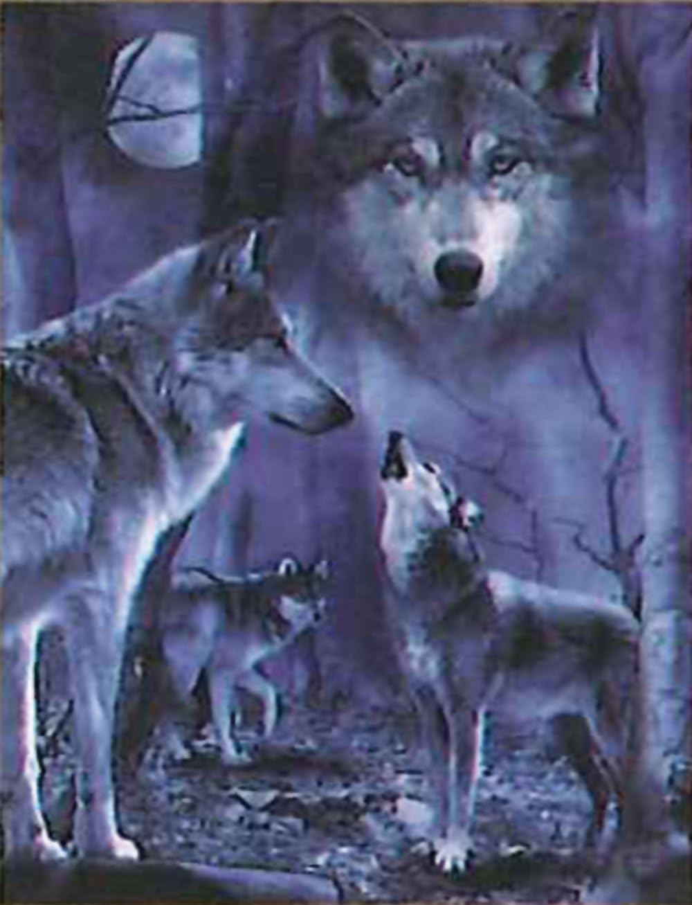 Throw Blanket - Fun Faux Fur Throw, Soft & Cuddly, Night Wolves Theme - 48 x 60