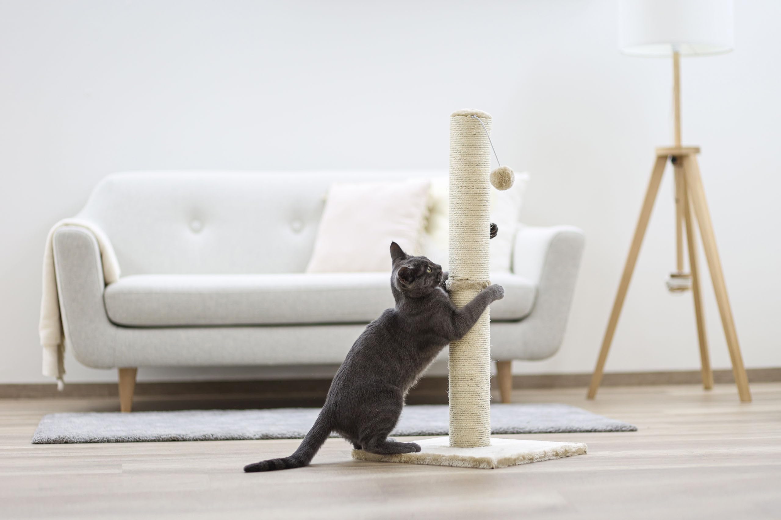 Kerbl Pet Poste rascador Opal Maxi, Color Beige, sisal Natural, 38x38x78 cm, para Gatos pequeños y medianos, con Cuerda de sisal, para el Cuidado de Las Garras, con Bola de Peluche