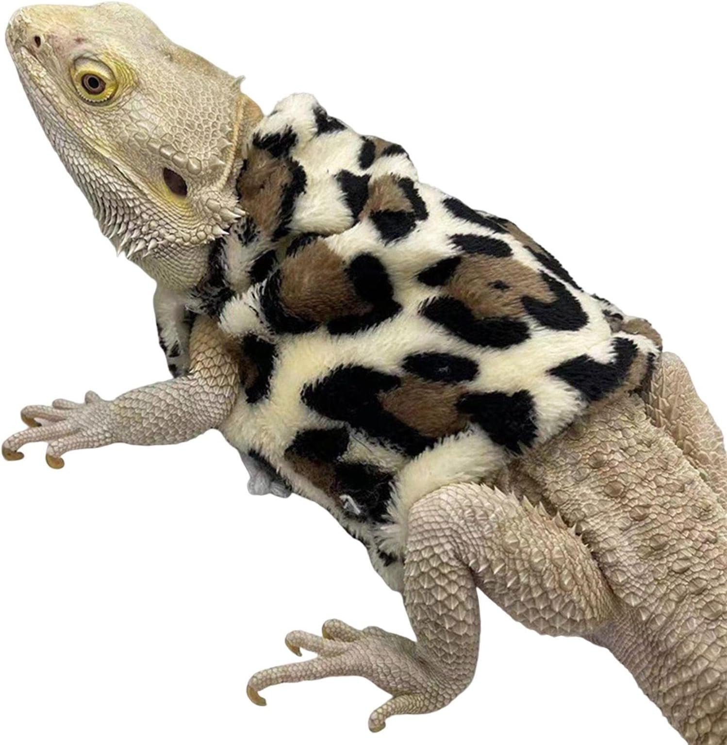 Pet Clothes, Bearded Dragon Costume | Dragon Costume for Reptiles, Outfits Clothes Photo Props for Geckos, Hamsters