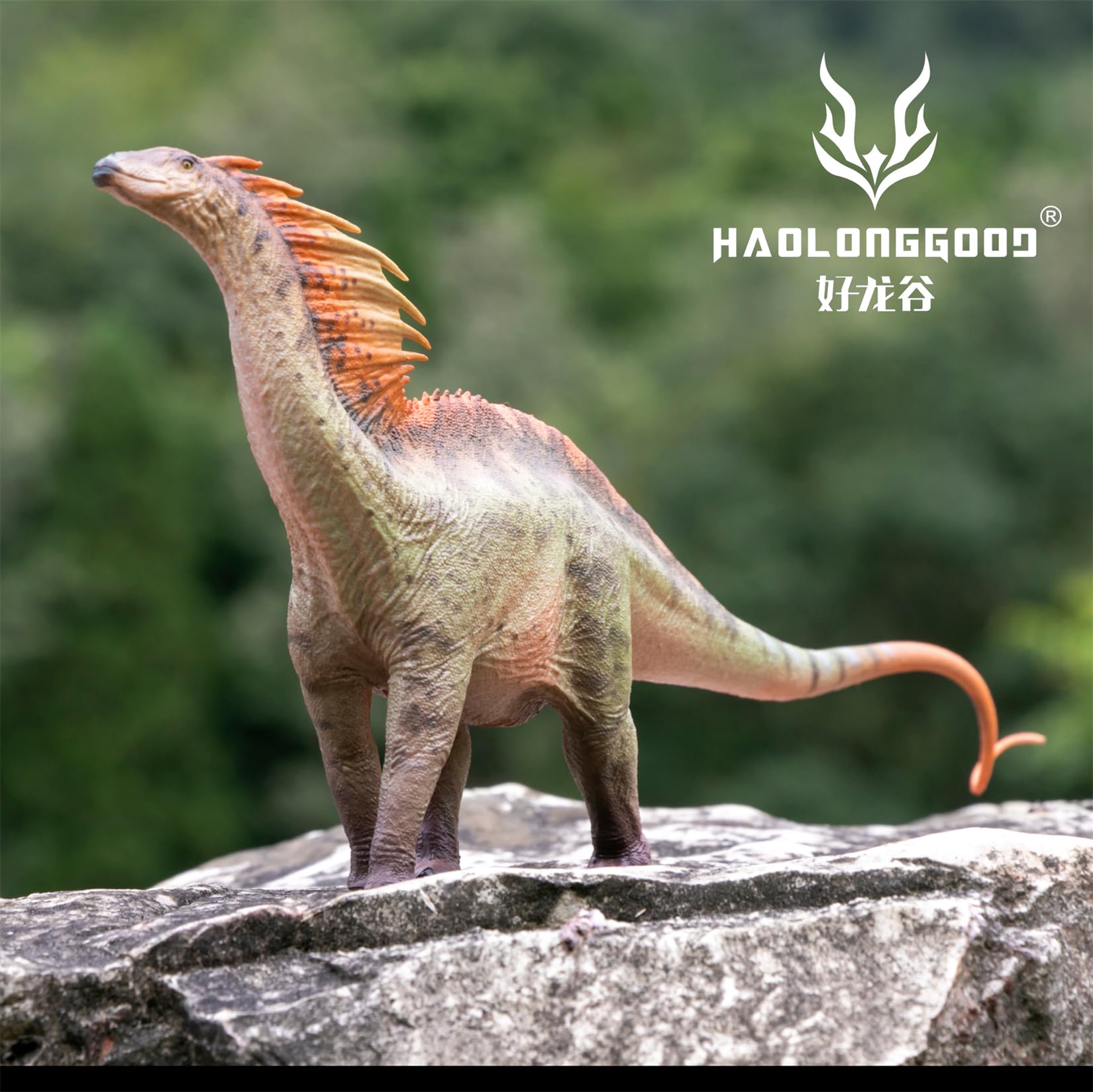 Amazon | BACALYSO | HAOLONGGOOD 1/35 サイズ アマルガサウルス 31cm