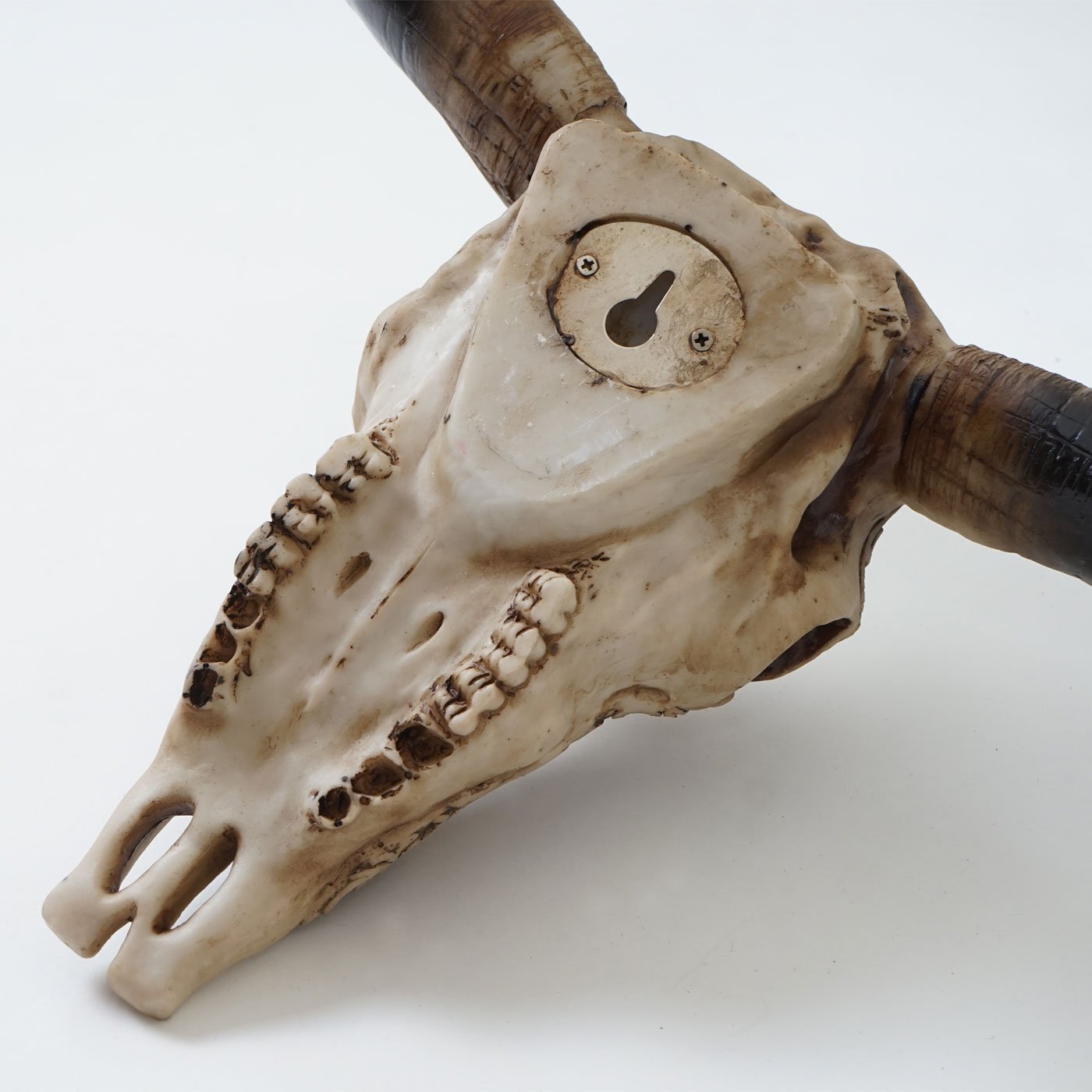 Mendler Deko Schädel 31cm HWC-C15, Polyresin Stier Bulle Longhorn Kopf Trophäe mit Tribal, In-/Outdoor