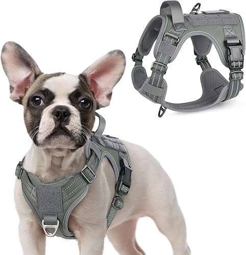 Miniatura 53 de rabbitgoo - Arnés táctico para perros grandes, chaleco de servicio militar sin tirones con asa y Molle, fácil control para entrenamiento y caminata
