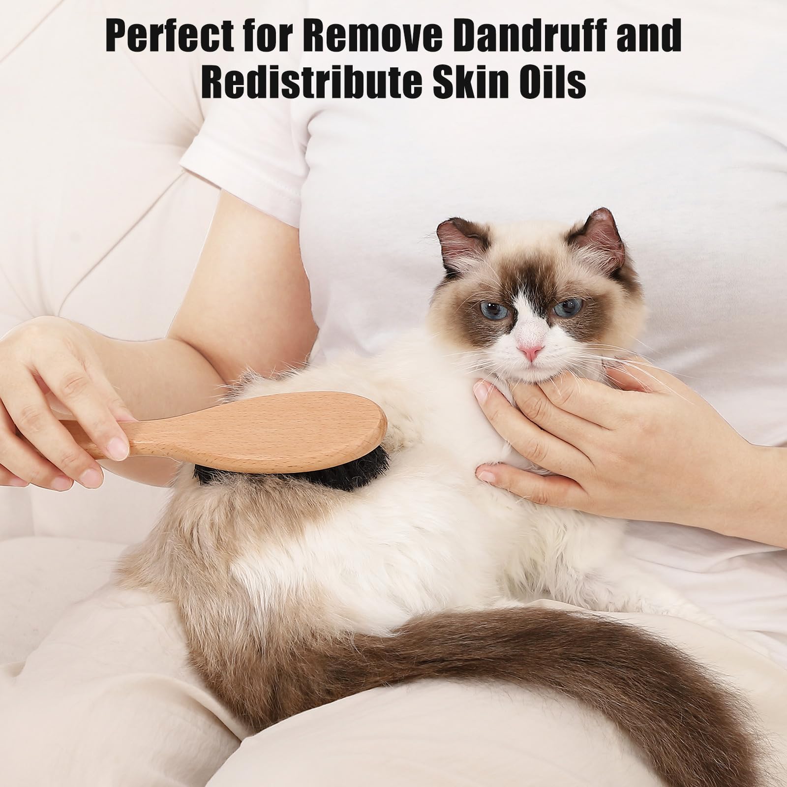 Boar Bristle Cat Brush with Wooden Handle, Soft and Gentle, Reduce Shedding, Make Coat Soft, Smooth and Shinny, Daily Grooming Tool for Short Haired Cats, Kitten - image 3
