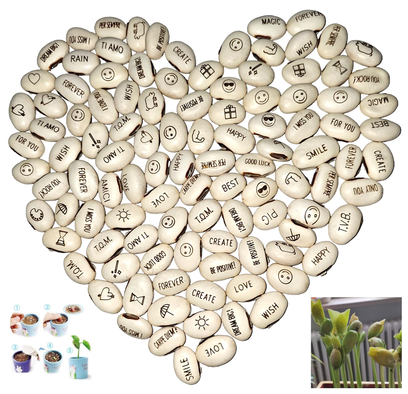 J&J Opakowanie z 100 nasionami magicznych ziaren Magic Bean Magic Beans pomysł na prezent, powtórzenie, ciekawość, pomysł na prezent do domu, bingo, przyjęcie bożonarodzeniowe, szczególna wiadomość