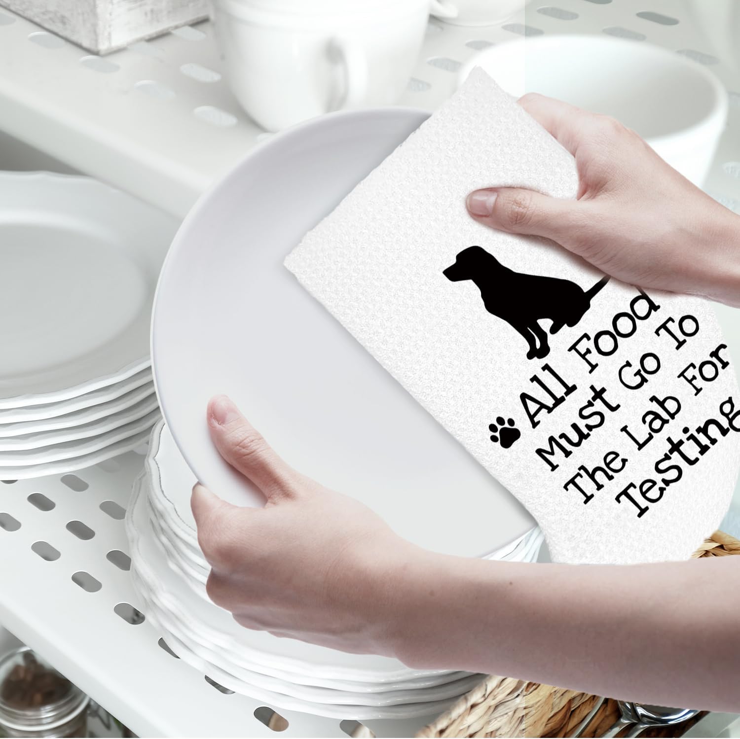 Funny Gifts Black Lab Dog Kitchen Towels, Black Labrador Retriever Gifts Dish Tea Towels for Kitchen, Funny All Food Must Go to Lab for Testing Decorative Hand Towels, 16x24 Inch - Image 6