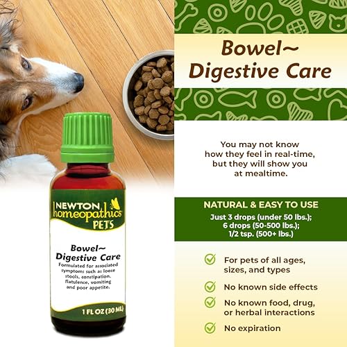 Miniatura 6 de Newton Homeopathics Mascotas intestinales Cuidado digestivo - 1 Oz Líquido