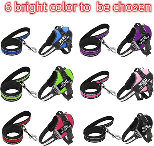 Miniatura 4 de Moonpet Juego de correa de arnés personalizado para perro sin tirones con nombre y número de teléfono, chaleco resistente para mascotas para evitar