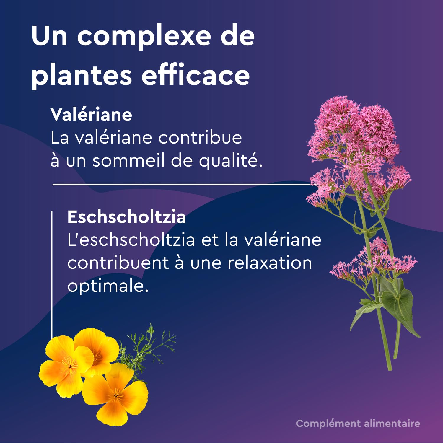 Euphytose Nuit LP Mélatonine 1,9 mg - Complément Alimentaire Sommeil Adulte - Favorise l'Endormissement et la Qualité du Sommeil - Libération Prolongée 8H - Valériane - 3x15 comprimés - 45 Nuits