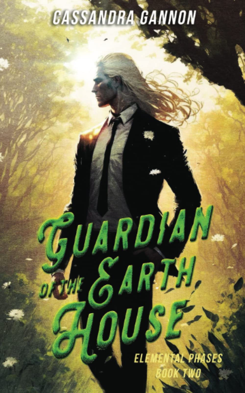 Guardian of the Earth House (The Elemental Phases)