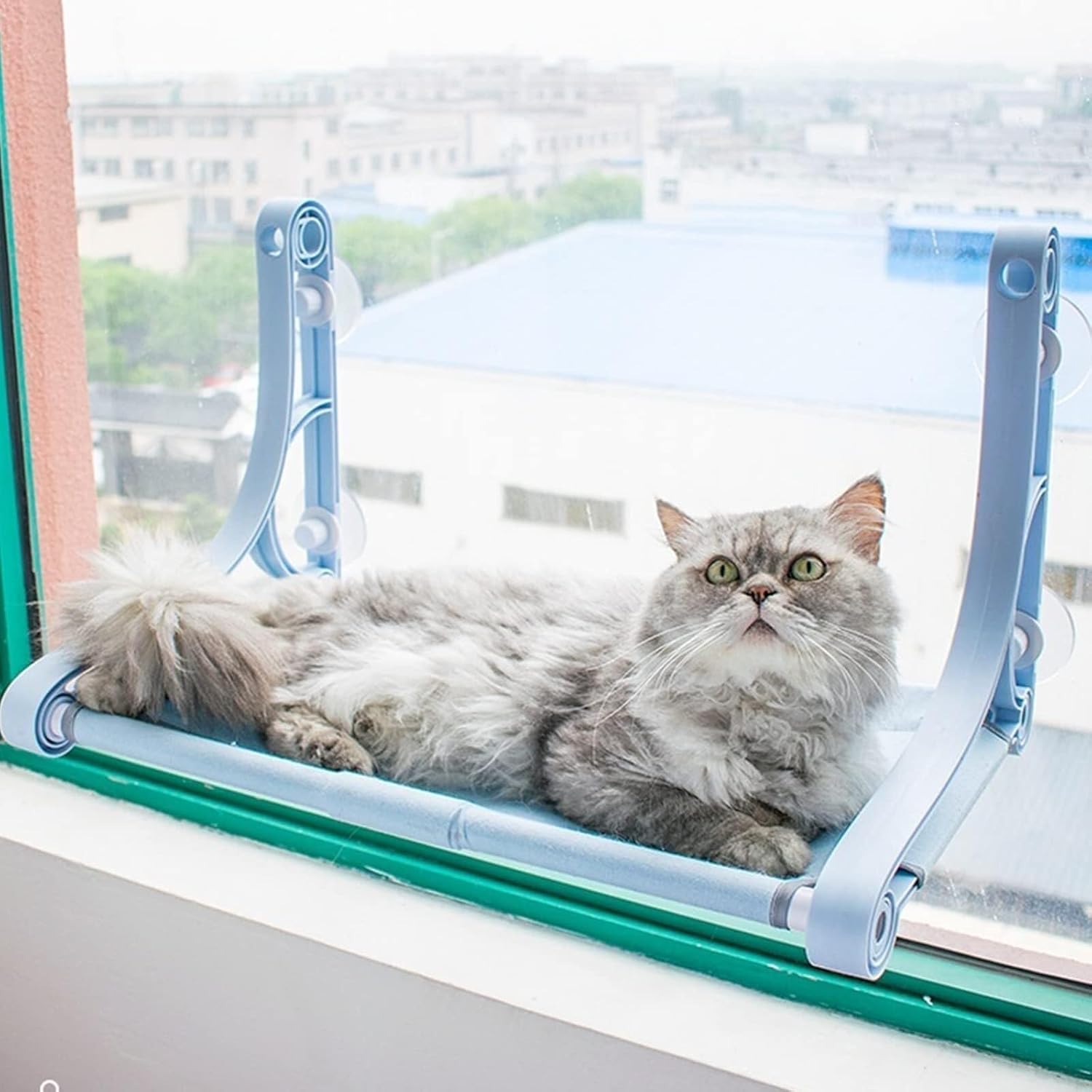 Cat Window Perch,with 4 Strong Suction Cups and Wall Anchors,Cat Hammock for Large Cats