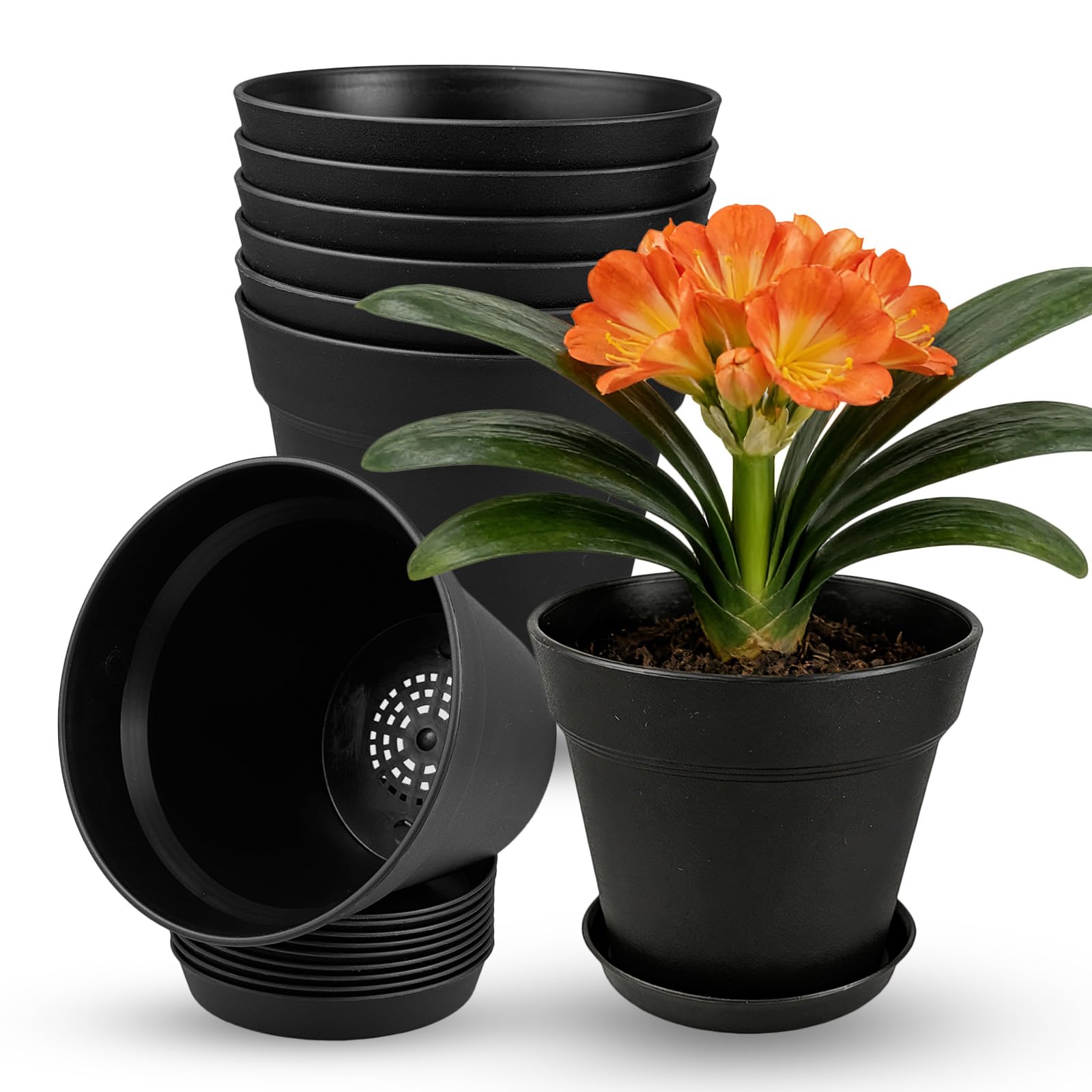 TEYIAN 8 Pack 10cm/4-in Plastic Plant Pots Flower Pots with Drainage Holes and Saucers Modern Decorative Planters Succulent Indoor Outdoor Plants