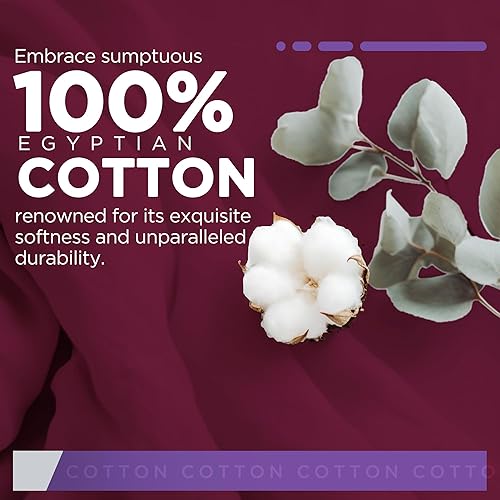 Miniatura 4 de Juego de sábanas de algodón egipcio tamaño Queen, 1000 hilos con bolsillos profundos tamaño Queen, juego de sábanas de 4 piezas color burdeos de