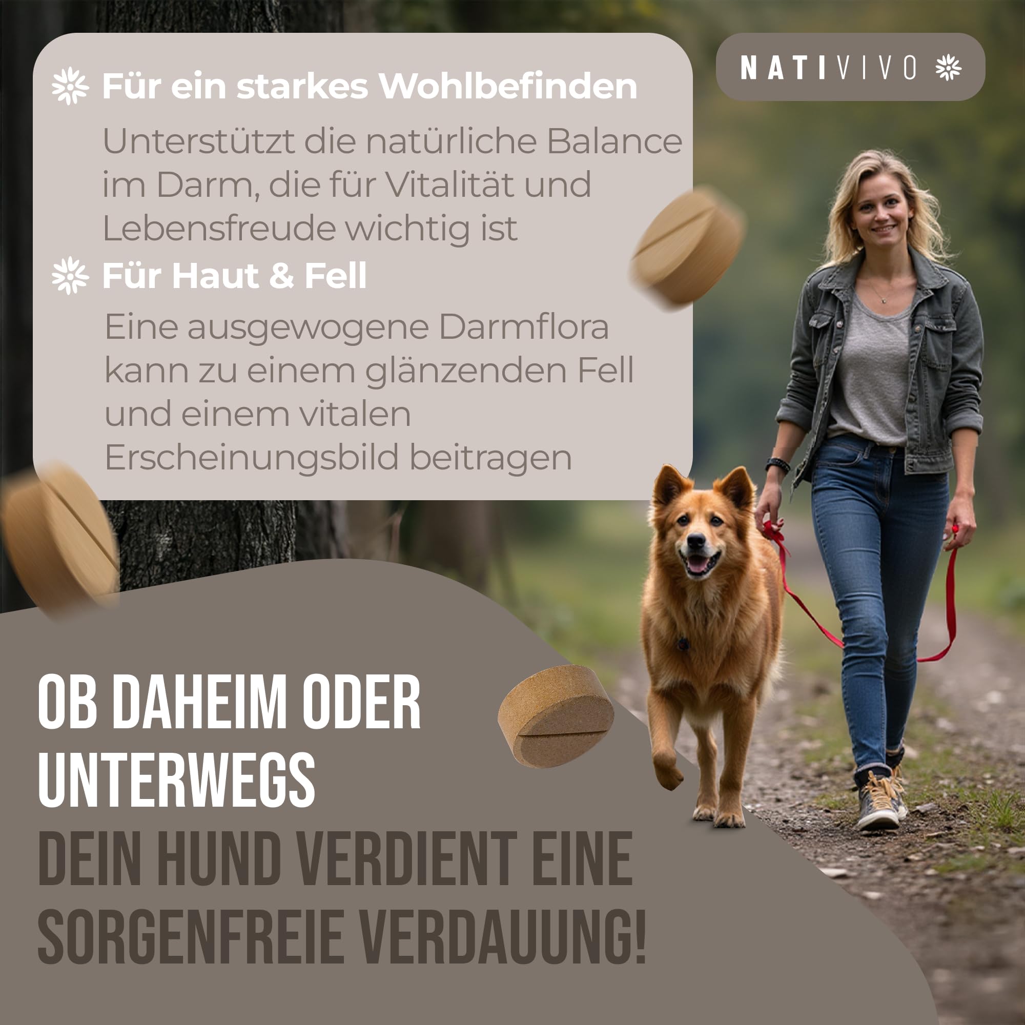 Probiotikum Komplex - Probiotika Darmkur Dia Tabs unterstützend bei Sodbrennen & Durchfall. Unterstützt das Immunsystem, die Verdauung, Darmflora & Darmsanierung bei Hunden. Made in Germany