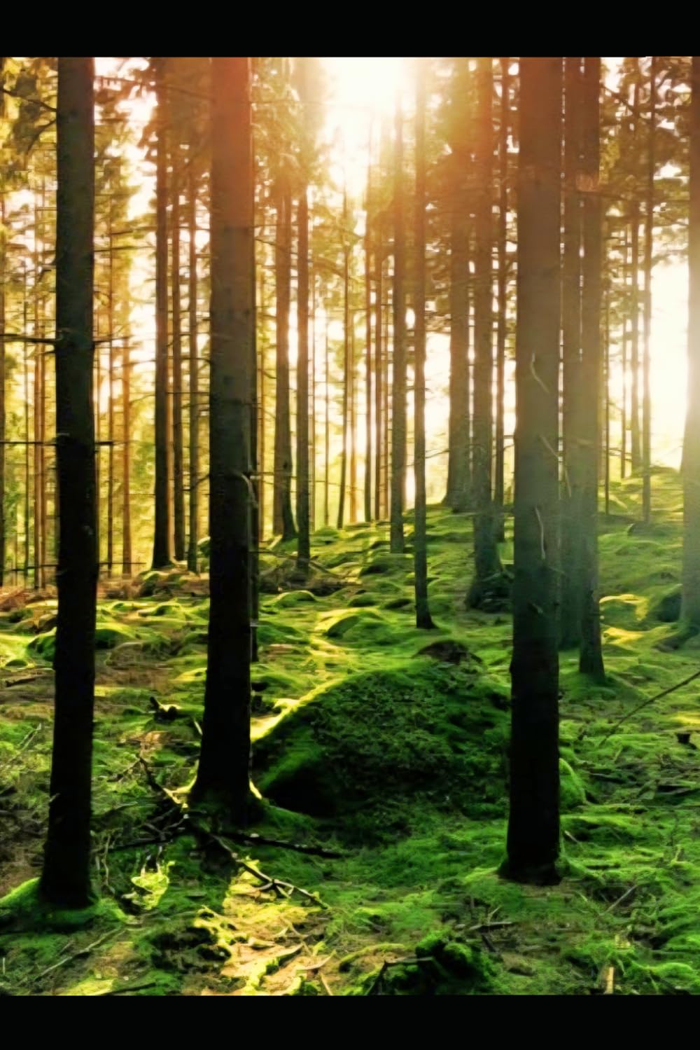 From the Ridges of Karelia