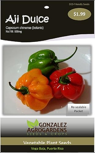 Ajicito, Aji Dulce, Aji Gustoso, Cachucha, Pimiento Dulce 100 Semillas por Gonzalez Agrogardens