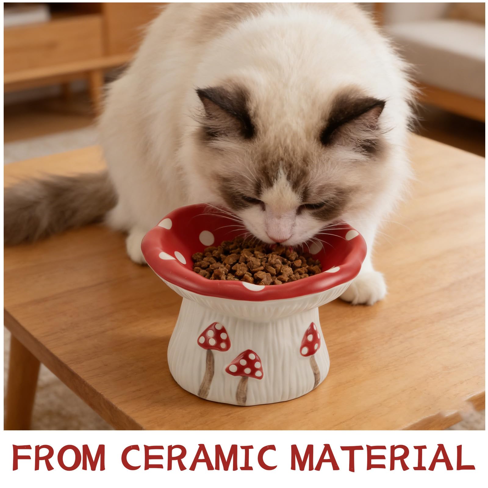 Gamelle Anti-vomissements en céramique pour Chat : Gamelle surélevée en Forme de Champignon - Bol Peu Profond pour Chatons et Petits Chiens
