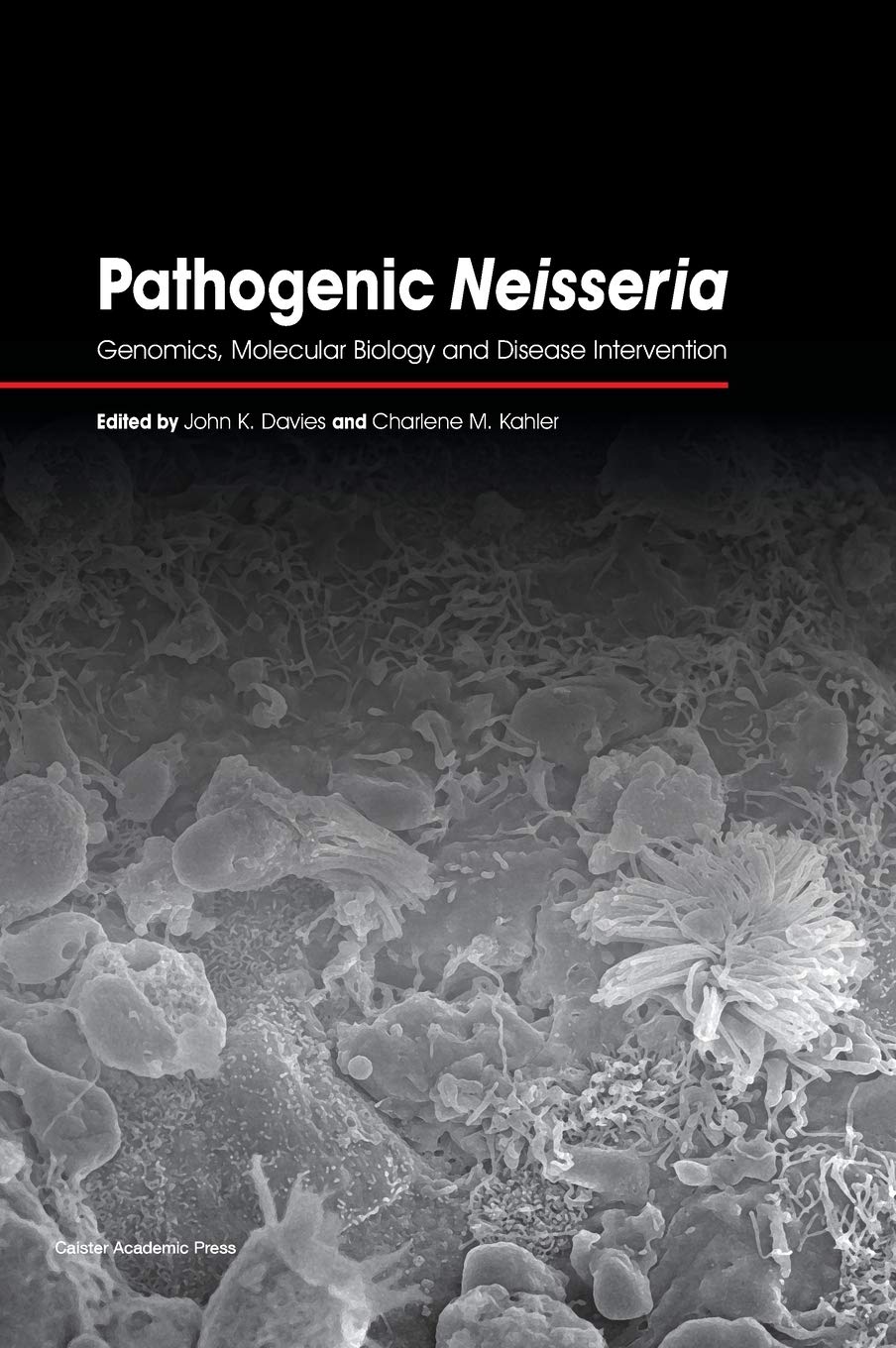 Buy Pathogenic Neisseria: Genomics, Molecular Biology and Disease Intervention — BookShops.in