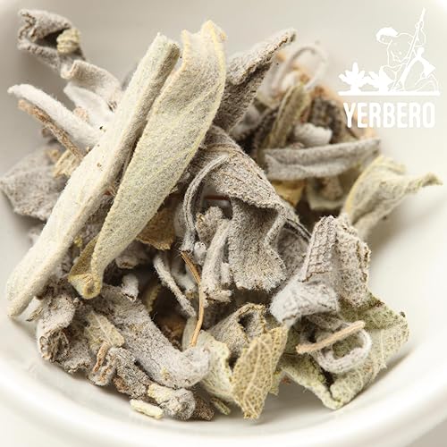 Miniatura 6 de Clúster de Salvia Blanca Premium 4oz (114g)  Hoja De Salvia Blanca Entera  Salvia officinalis  Santificación, Purificación, Metafísica, Wicca.