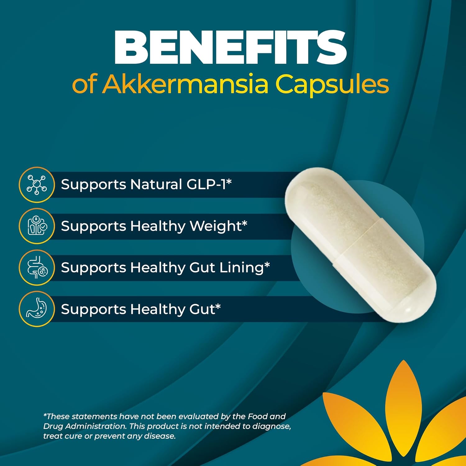 Akkermansia Probiotic Supplement - Promotes Digestive Comfort, Gut Lining & Microbiome Support - GLP-1 & Metabolic Wellness - Active Strain, 1 Billion AFUs - 30 Capsules