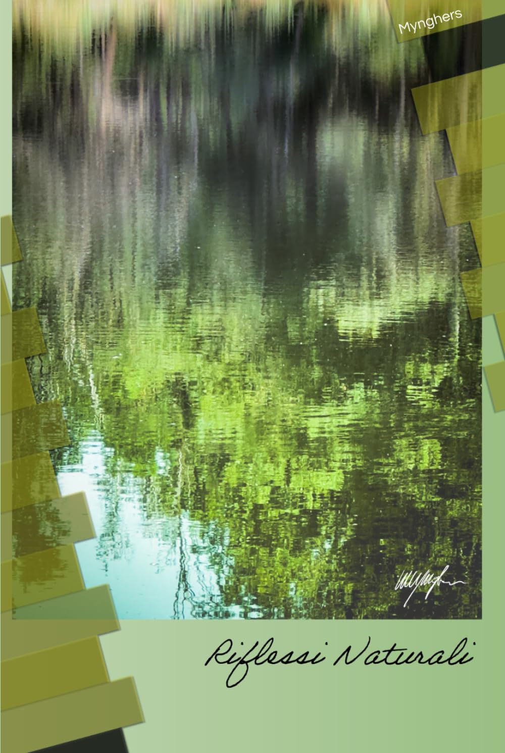 Riflessi Naturali (Italian Edition)      Hardcover – December 17, 2025