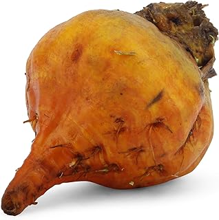 Root Beet Golden Organic, 1 Each