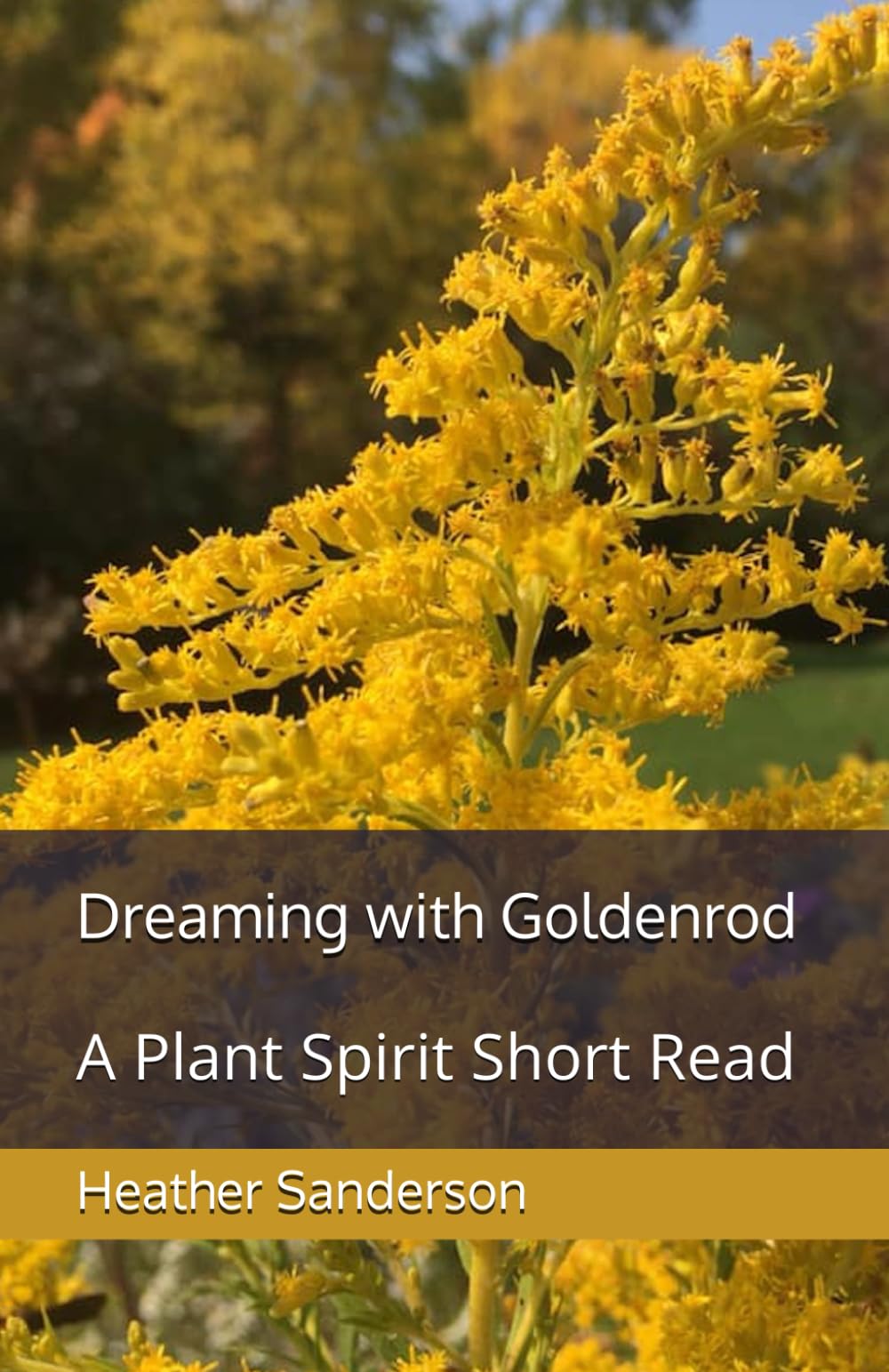 Dreaming with Goldenrod: A Plant Spirit Short Read (Dreaming with the Plants)