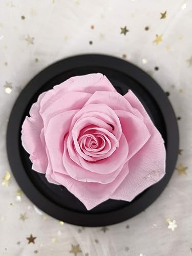 Miniatura 2 de Rosa preservada para siempre, regalos de cumpleaños para mujeres, mamá, esposa, abuela, flor real, vida eterna, rosas nunca marchitas en cúpula de