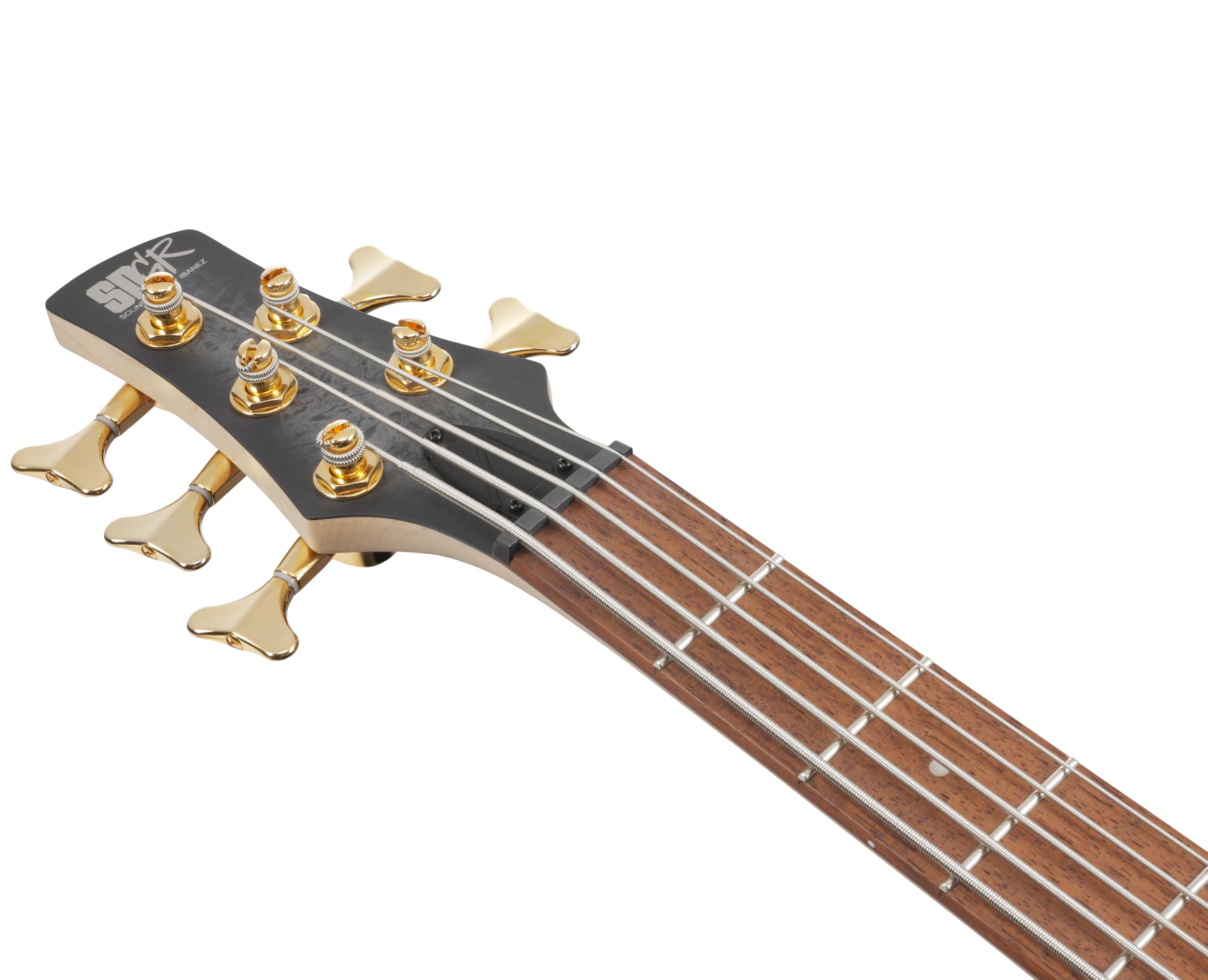 Amazon.com: Ibanez SR Standard 5-string Electric Bass - Black Ice