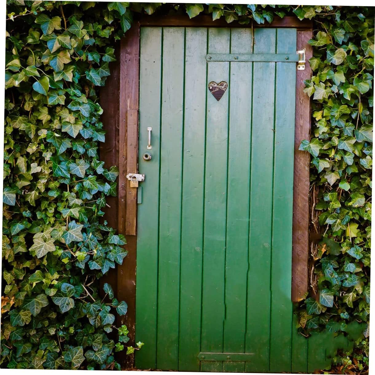 LIFKOME 4pcs Decorative Black Painted Wooden Door Hinges Heavy Duty Tee Hinges Bearing Design for Doors Gates Sheds