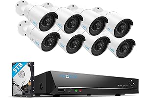 REOLINK 5-Megapixel Cat 5 Security Camera System