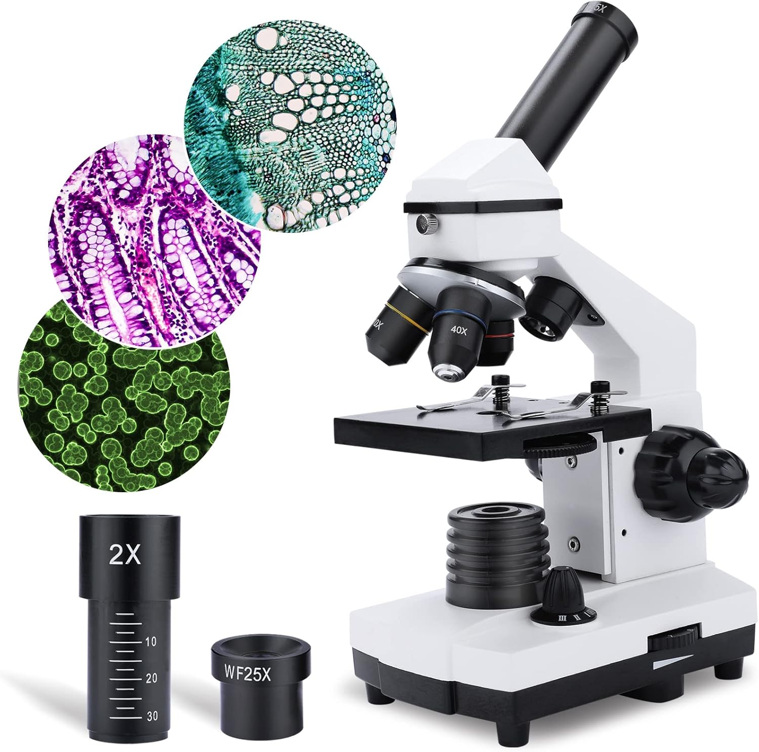 Microscopes 2000X for Adults, Kids, Powerful Children's